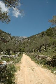 DSC_8843.jpg