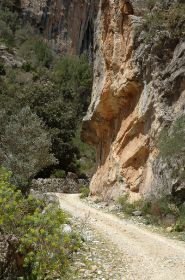 DSC_8849.jpg
